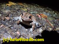 /home//u458753944/public_html/sourcegallery///////////////////////////////////////McKaig Nature Center/2020-10-11/PA110714.JPG